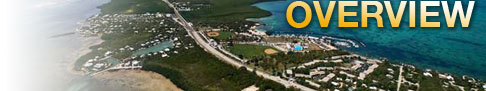 Overview image